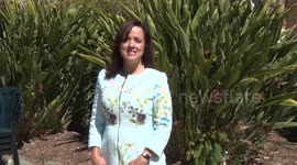 Interview with Director of Swallows Day at the Mission San Juan Capistrano