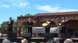Mariachis playing at the Swallows Day Celebration
