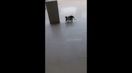 Mother's Love