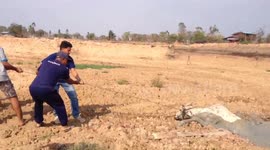 Cow rescued after getting stuck in mud