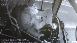 深圳:“醉猫”大闹公交车 打司机还坐上了方向盘