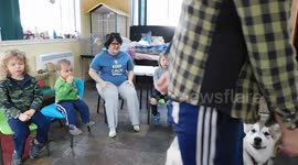 Alaskan Malamute Puppy Therapy Dog Performs for Preschool Children