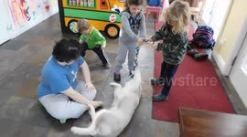 Alaskan Malamute Puppy Inspires Children to Play Tug Toy