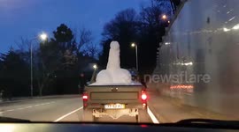 Portuguese couple follow truck transporting giant penis snow sculpture