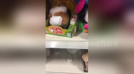 Newsflare Edit - Happy hamster toy not so innocent