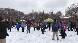 Watch snowballs fill the air in massive battle in Washington