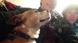 Dog Can't Stop Itself From Licking Owner, Makes Silly Faces