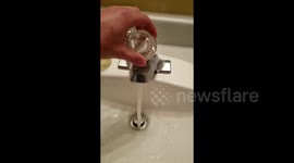 Life's Mysterious Beauty