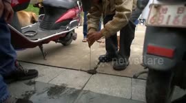 Fisherman makes catch from drainage hole on cement ground