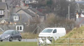 Whale washed up on Monifieth Beach :( 22/3/18