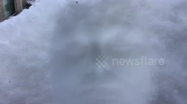 Creepy fun with snow