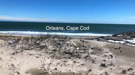 Ancient horseshoe prints and wagon tracks at Nauset Beach, Cape Cod