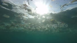 Bali covered in plastics - the ugly side of the paradise island