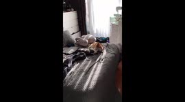 peaches and Kuzik, two cat making out got caught in action intimate position while making love