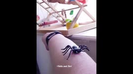 I'll save you mum from the spider
