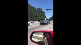 Alligator crossing road brings traffic to a stop