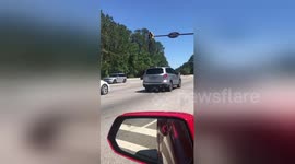 Newsflare Edit - Alligator crossing road brings traffic to a stop