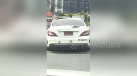 Newsflare Edit - Toy lizards stuck on the side of car