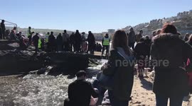 Dachshund World Record Attempt Perranporth beach
