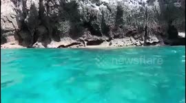 Feeding a wild monkey an apple