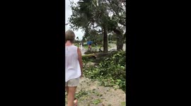 Sol Palmeras, bungalow area near car park, Hurricane Irma, Varadero, Cuba