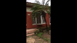 Hurricane Irma rearranging the palm trees.