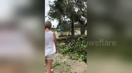 Newsflare Edit - Sol Palmeras, bungalow area near car park, Hurricane Irma, Varadero, Cuba