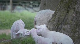 Spring has sprung