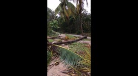 Hurricane Irma further footage of the Bungalow area at the Sol Palmeras, Varadero, Cuba