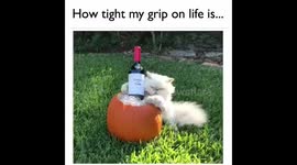How Tight My Grip on Life Is