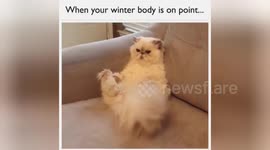 Newsflare Edit - Winter Body