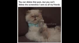 The truth about screenshots