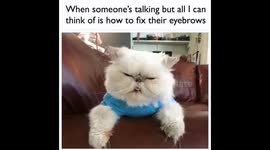 When someone has bad eyebrows