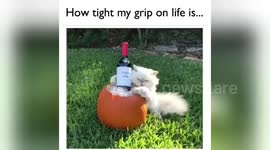 Newsflare Edit - How Tight My Grip on Life Is