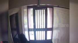 Harrowing CCTV shows final moments of woman entering her smoke-filled flat before being carried away dead by firefighters