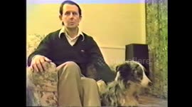Blue Merle Border Collie singing 'Side by Side'.