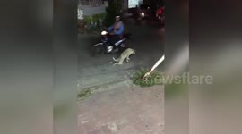Newsflare Edit - watch till the end