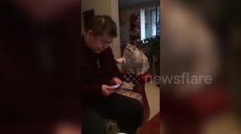 'Don't stop stroking me!' Cat keen for owner's attention