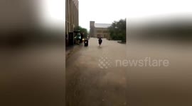 Student steps into flood waters on Texas A&M University campus
