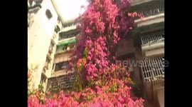 Impressive 'flower waterfall' forms on the exterior of residential building