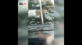 Couldn't imagine this happened at a park in the morning @@