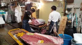 tuna prepared in Tsukiji fish market