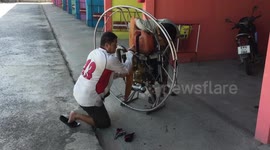 Neighbour Using Paramotor As Leaf Blower