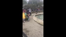 Feeding the Penguins