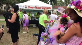 Dozens of pets take part in Easter Bonnet Pet Parade in Florida