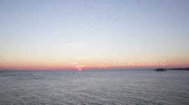 Starling Murmuration at Sunset, Brighton Pier