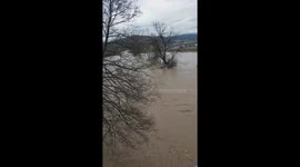 wild river
