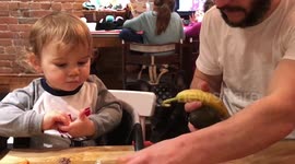 Cute kid picking fruits...