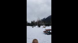 Deer Gone Wild!
