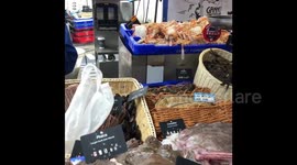 Fish market - Ireland